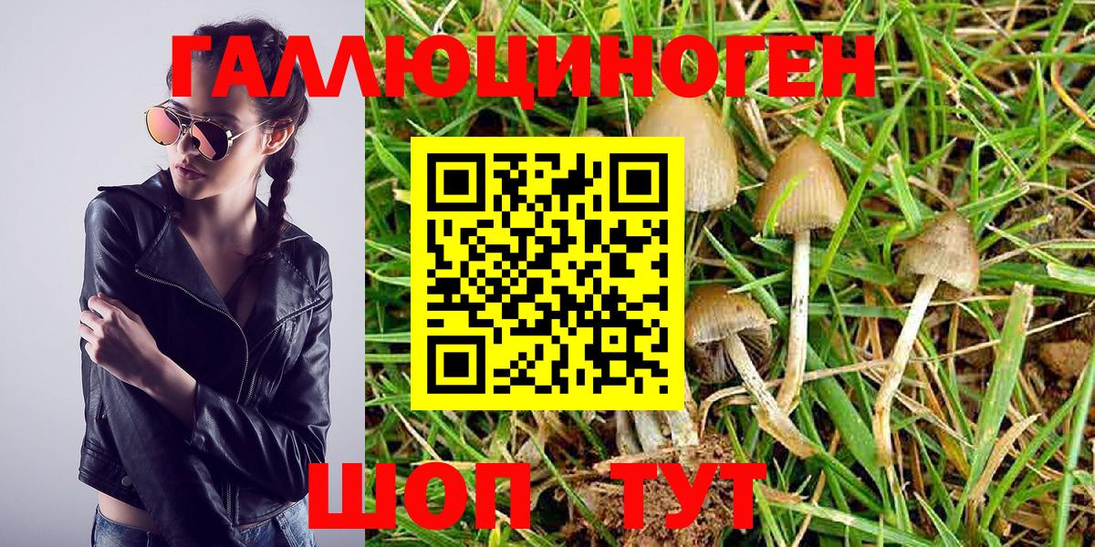 Галлюциногенные грибы MAGIC MUSHROOMS  Вход с VPN  где продают наркотики  Псилоцибиновые грибы мухоморы  Ливны 
